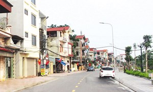 MTTQ thành phố Từ Sơn góp phần xây dựng đô thị văn minh, xanh, sạch, đẹp