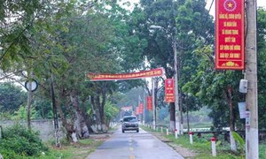 Thị xã Bỉm Sơn hoàn thành nhiệm vụ xây dựng nông thôn mới
