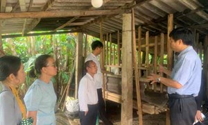 Ủy ban MTTQ Việt Nam tỉnh Bà Rịa – Vũng Tàu kiểm tra các mô hình giảm nghèo bền vững tại huyện Châu Đức