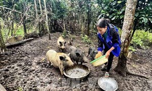 Điểm tựa giúp đồng bào dân tộc thiểu số tỉnh Quảng Trị thoát nghèo
