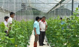 Bắc Kạn: Hiện thực hóa khát vọng thoát nghèo của đồng bào dân tộc thiểu số