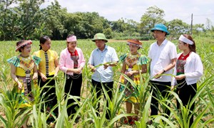 Phú Thọ: Đổi thay từ chính sách dân tộc