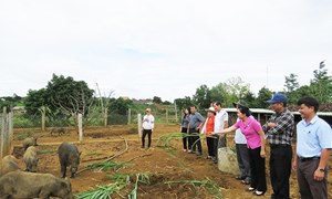 Phú Yên: Xây dựng khu dân cư tự quản, đoàn kết, ấm no, hạnh phúc