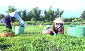 MTTQ các cấp huyện Diên Khánh: Lan tỏa nhiều cách làm hay