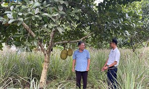 Thạch Thành phát huy vai trò người có uy tín trong đồng bào dân tộc thiểu số