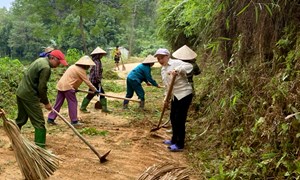 Phú Thịnh nhân rộng các mô hình bảo vệ môi trường