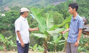 Hiệu quả Chương trình mục tiêu quốc gia phát triển kinh tế - xã hội vùng đồng bào dân tộc thiểu số ở Quảng Trị