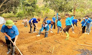 Chiêm Hóa linh hoạt, sáng tạo làm nhà cho hộ nghèo