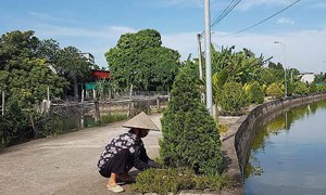 Mặt trận Tổ quốc huyện Xuân Trường đoàn kết nhân dân xây dựng nông thôn mới nâng cao, kiểu mẫu