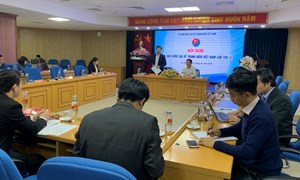 Hội nghị lần thứ 31 Ủy ban quốc gia về thanh niên Việt Nam