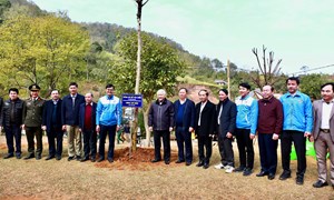 Chủ tịch Đỗ Văn Chiến dự Lễ phát động Tết trồng cây “Đời đời nhớ ơn Bác Hồ” Xuân Quý Mão tại Hòa Bình