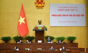Bảo đảm công dân Việt Nam ra nước ngoài thuận tiện như công dân nước ngoài vào Việt Nam