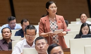 Phó Chủ tịch Trương Thị Ngọc Ánh: Cần có giải pháp để giữ chân những người tham gia bảo hiểm xã hội