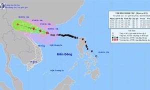 Thời điểm tác động gió mạnh nhất của siêu bão Yagi từ sáng đến chiều tối ngày 7.9