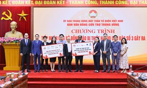 Đoàn các cơ quan đại diện nước ngoài và các tổ chức quốc tế trao ủng hộ đồng bào bị ảnh hưởng bởi cơn bão số 3