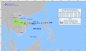 Thủ tướng chỉ đạo tập trung ứng phó áp thấp nhiệt đới có khả năng mạnh lên thành bão và mưa lũ