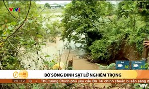 Alo Chào buổi sáng - VTV1 - 29/09/2022 - Bờ sông Dinh sạt lở nghiêm trọng