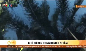 Alo Chào buổi sáng - VTV1 - 31/03/2023 - Khổ sở bên dòng kênh ô nhiễm