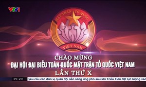 CHÀO MỪNG ĐẠI HỘI ĐẠI BIỂU TOÀN QUỐC MẶT TRẬN TỔ QUỐC VIỆT NAM LẦN THỨ X 