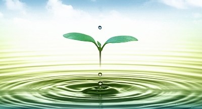 Tăng cường quản lý tài nguyên nước để phát triển bền vững 