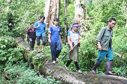 Bảo vệ rừng để hạn chế lũ ống, lũ quét
