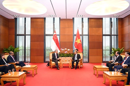 Thủ tướng Nguyễn Xuân Phúc tiếp Thủ tướng Singapore Lý Hiển Long