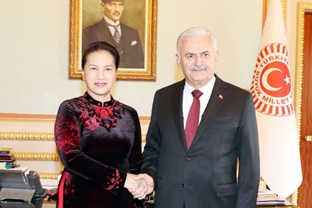 Chủ tịch Quốc hội hội đàm với Chủ tịch Quốc hội Thổ Nhĩ Kỳ 