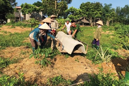 Mặt trận cùng dân xây dựng nông thôn mới