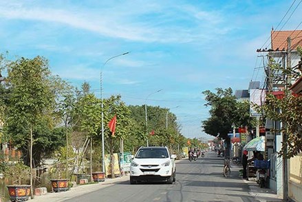 Nam Định: Tiếp tục nâng cao chất lượng công tác giám sát, phản biện xã hội