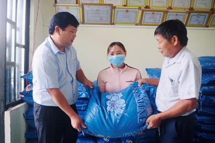 Quảng Ngãi: Trao tặng gần 170 tấn gạo cho hộ nghèo