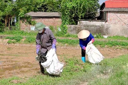 Bắc Ninh có 535 mô hình “Nông dân tham gia bảo vệ môi trường”