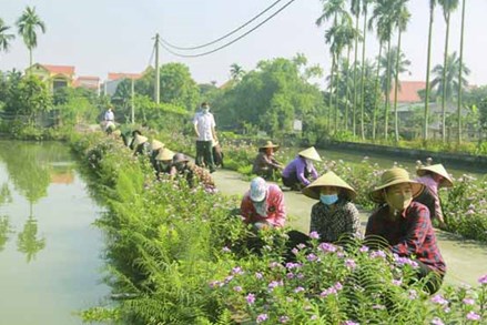 Dấu ấn xây dựng nông thôn mới của Quảng Ninh