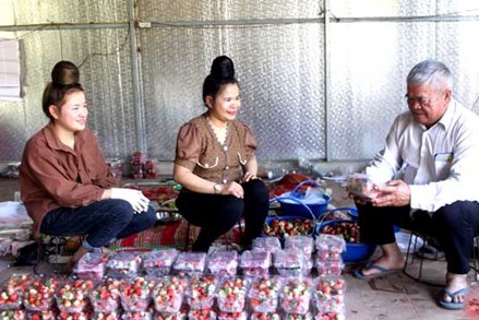 Phát huy vai trò người có uy tín trong đồng bào dân tộc thiểu số ở huyện Mai Sơn