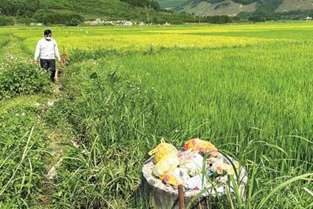 Quảng Ngãi: Chung tay bảo vệ môi trường vùng nông thôn