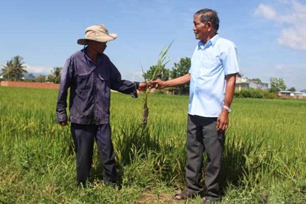 Người có uy tín tỉnh Ninh Thuận phát huy vai trò trong phát triển kinh tế địa phương