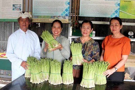 Ninh Phước (Ninh Thuận): Phát huy vai trò người có uy tín xây dựng nông thôn mới