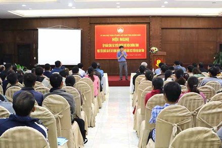 Quảng Ngãi: Tập huấn tuyên truyền Chương trình mục tiêu Quốc gia xây dựng nông thôn mới