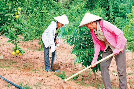 MTTQ các cấp tỉnh Sơn La tăng cường phối hợp trong xây dựng nông thôn mới