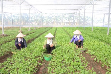 Bắc Ninh: Khơi sức dân xây dựng nông thôn mới nâng cao