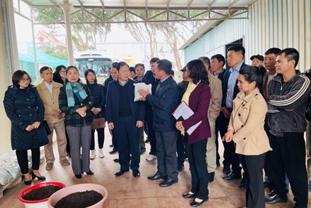 Các cấp Hội Nông dân tỉnh Quảng Ninh tích cực tham gia bảo vệ môi trường