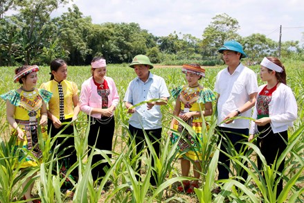 Phú Thọ: Đổi thay từ chính sách dân tộc