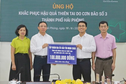 Hải Phòng: Phân bổ trên 47 tỷ đồng hỗ trợ các quận, huyện khắc phục hậu quả bão số 3