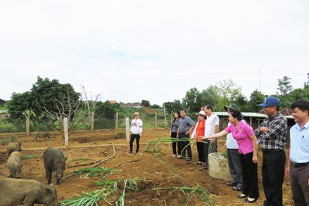 Phú Yên: Xây dựng khu dân cư tự quản, đoàn kết, ấm no, hạnh phúc