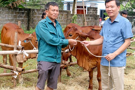 Phù Ninh: Tạo sinh kế cho người nghèo