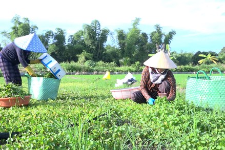 MTTQ các cấp huyện Diên Khánh: Lan tỏa nhiều cách làm hay