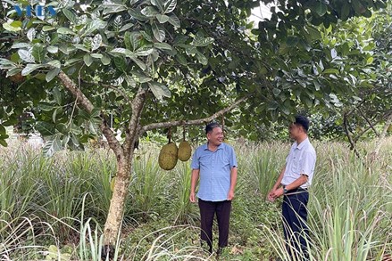 Thạch Thành phát huy vai trò người có uy tín trong đồng bào dân tộc thiểu số