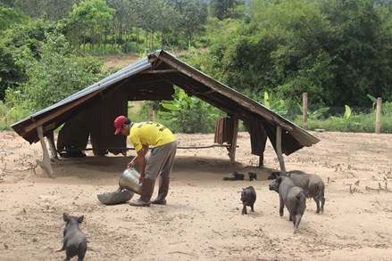 Diện mạo mới vùng đồng bào dân tộc thiểu số ở Bình Thuận