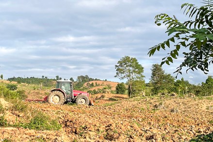 Hướng Hóa tập trung giải quyết tình trạng thiếu đất, nước sinh hoạt cho đồng bào dân tộc thiểu số