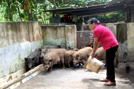 Huyện Yên Lập: Đào tạo nghề cho đồng bào dân tộc thiểu số