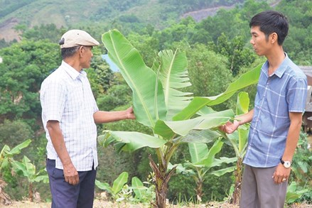 Hiệu quả Chương trình mục tiêu quốc gia phát triển kinh tế - xã hội vùng đồng bào dân tộc thiểu số ở Quảng Trị